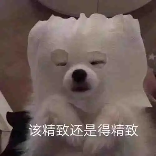 沙雕表情包该精致还是得精致
