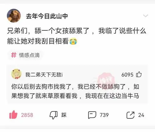 爆笑合集你被蚊子咬过最无语的地方是哪里看到评论笑yue了
