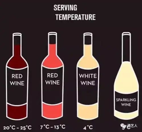 最值得看的红酒知识普及
