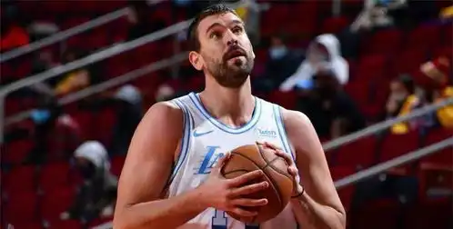 湖人篮网组豪华全明星阵容,nba新赛季大结局不一定吧
