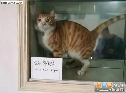 搞笑囧图3月3日这是个很有故事的画面我来讲给你听第四页
