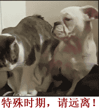 猫狗大战搞笑动态图片据说这是男人婚后的样子
