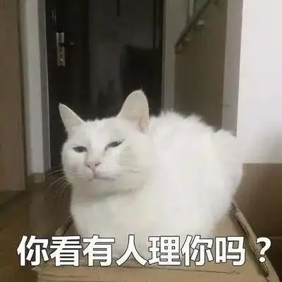 八十期
