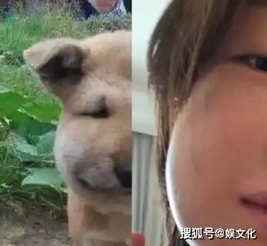 周冬雨戴口罩领奖什么情况周冬雨戴为什么口罩领奖
