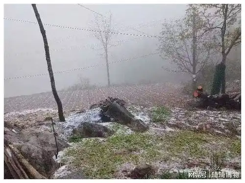 湖北人注意大风降水低温今天继续
