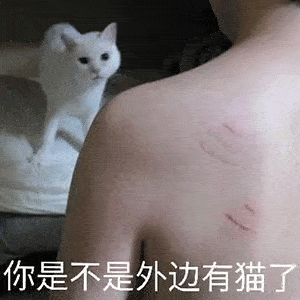 沙雕表情包有空一起洗澡啊
