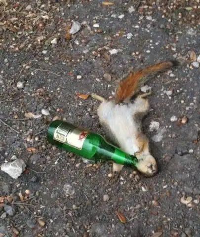 笑话段子搞笑图片算命先生你别跑,我保证不打死你
