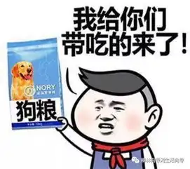 世界最爆笑的文章,笑死人不偿命,搞笑文章
