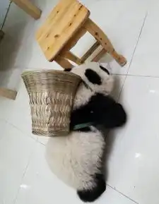 搞笑趣图姐妹,你这样玩,我还嫁不嫁啦
