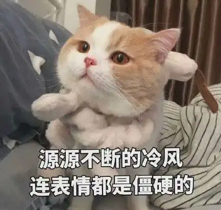 适合天冷发的搞笑文案
