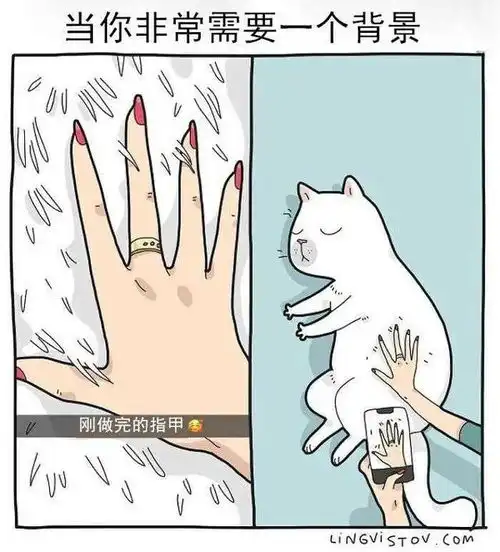 每日沙雕我要偷偷努力,然后在所有人的预料之中失败
