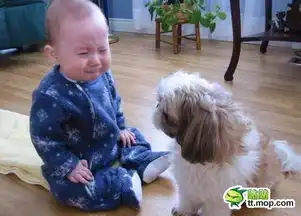 抓狂父母盯防的搞笑宝宝
