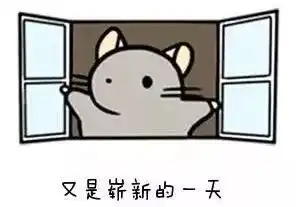 车主必看2019这些汽车新政你应该知道
