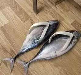 搞笑gif趣图媳妇,你这是打算把这个猪头全部吃完
