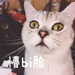 壁纸头像超可爱搞笑猫咪表情包
