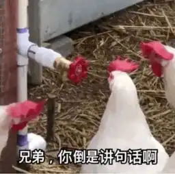 我的世界文化挖掘机游戏里你所不知道的吃文化
