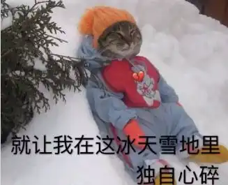 被冷空气承包了,别让它把你的计划搞砸了
