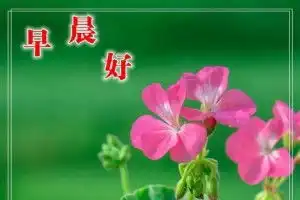早安问候语图片早上好问候语表情短信清晨问候大全搞笑大小王
