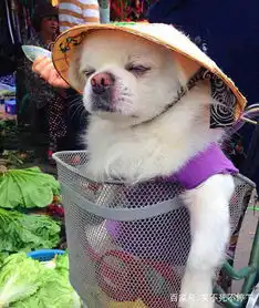 搞笑图片幽默段子笑话妹子,你的化妆速度太快了吧
