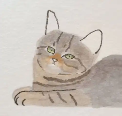 美图推荐简简单单的猫猫日常,为什么搞笑又可爱呀哈哈哈
