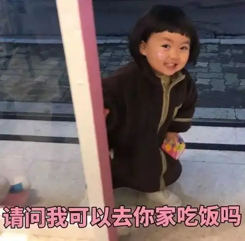今日份表情包
