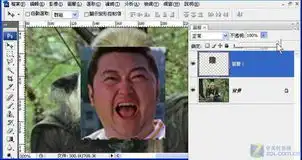 photoshop移花接木教程恶搞人面合成
