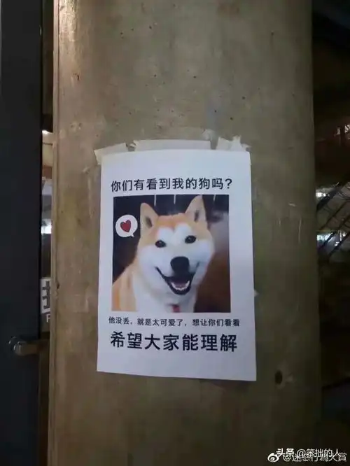 让你笑出腹肌的搞笑图片第6期
