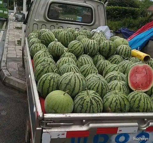 韩国姑娘来中国旅游,买西瓜被拒绝,店家你是在搞笑吗
