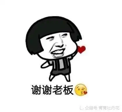 搞笑段子从25岁到27岁,家里每年都逼婚
