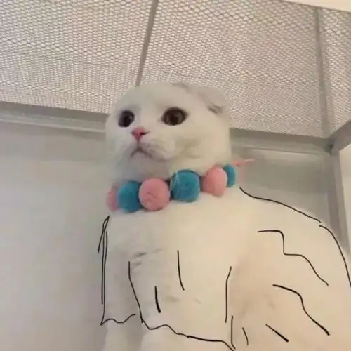售后服务招聘售后服务岗位职责最新售后服务招聘信息智联招聘官网
