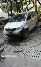 搞笑gif趣图很多人每天都说累成狗,现在我终于明白了,原来做狗真的很累
