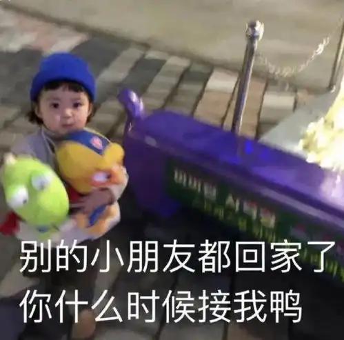 表情包别的小朋友都回家了,你什么时候来接我
