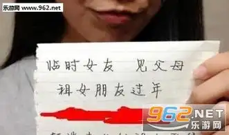 春节租女友回家过年价目表恶搞图片春节租女友图片下载乐游网游戏下载
