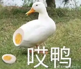 有趣羁谈
