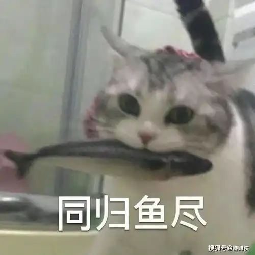 搞笑表情包图片搞笑我现在只想搞钱
