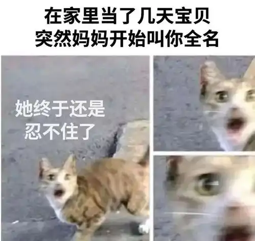 搞笑女是怎么过年的救命啊翻车现场笑麻了
