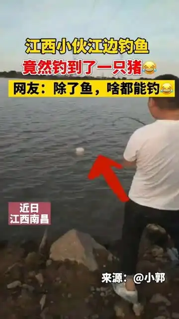 除了鱼啥都能钓江西南昌江西钓鱼钓鱼高手搞笑沙雕钓鱼那些事南昌
