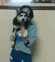 从小就很好奇这种衣服怎么上厕所网友脑洞真大哈哈哈哈

