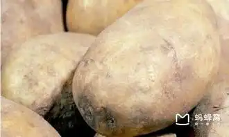搞笑版舌尖上的英国窜红网络被称食土豆民族
