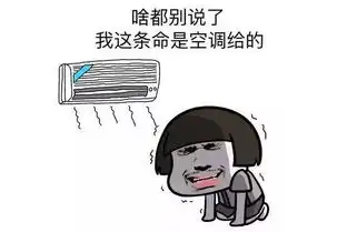 带雨入伏,但玉米高温热害不得不防
