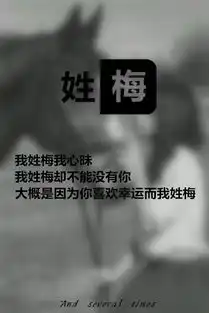 梅氏壁纸我姓梅.
