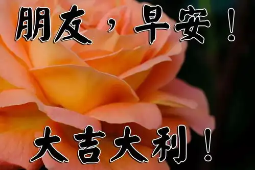 2019早上好温馨问候语动态图片大全
