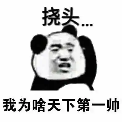 熊猫头挠头表情包钱包莫名其妙空了
