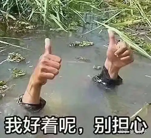 遇到贱的同学,怎么办急
