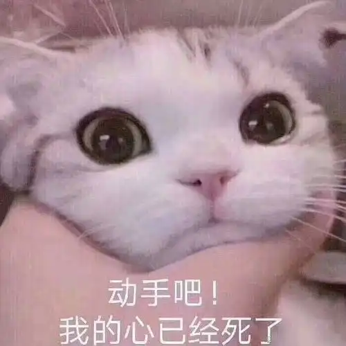 搞华一时爽
