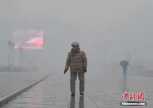 供暖季开始一周沈阳pm2.5浓度爆表市民戴防毒面具出行
