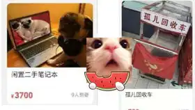 事业爱情我前方爆笑高能σ网络上的沙雕不要笑挑战第8期
