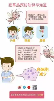 与蚊子的战争仍在继续哦,漫画图解登革热,让你不再被蚊子叮叮叮
