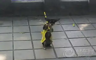 别过来啊!我很厉害的
