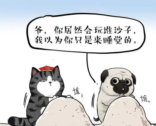 爆笑巴扎黑听说黑色显瘦,主人就帮它把毛剃了,猫主子看了直咽口水
